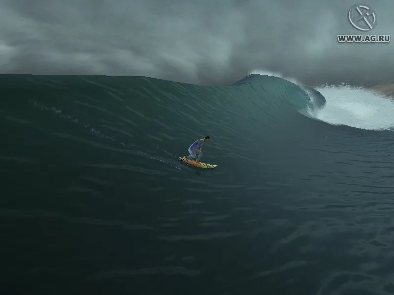 Kelly Slater's Pro Surfer