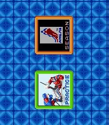 Pro Sport Hockey (NES)