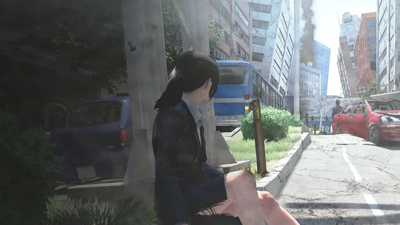Disaster Report 4: Summer Memories (NSW)