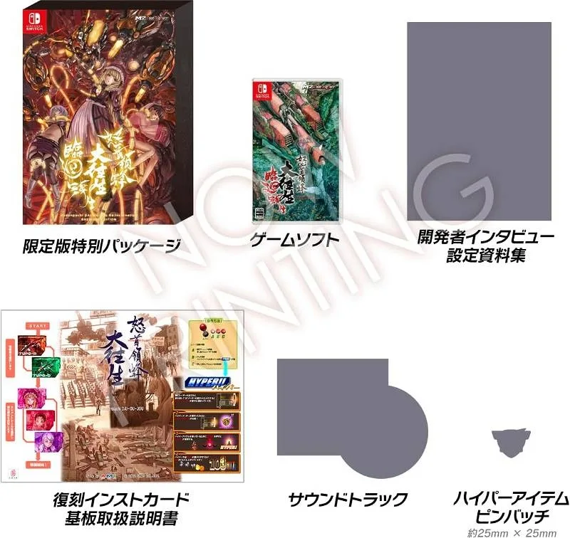 DoDonPachi Blissful Death Re:Incarnation [Limited Edition] (NSW)