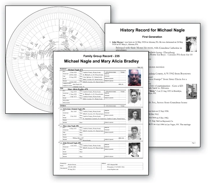 Family Tree Heritage Platinum 9 (PC)