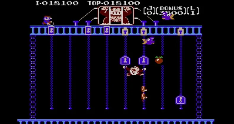 Donkey Kong Jr.