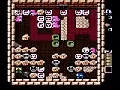 ADVENTURES OF LOLO 2 (WII)